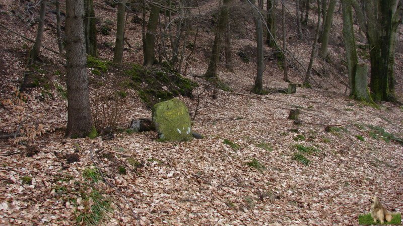 Ritterstein Nr. 067-3 Verhau unter Schanze IV.JPG - Ritterstein Nr.67  Verhau unter Schanze IV